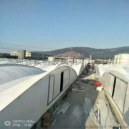 專業廠家加工制作玻璃鋼污水池蓋板防護蓋板 ,棗強縣衆信玻璃鋼環保制品廠