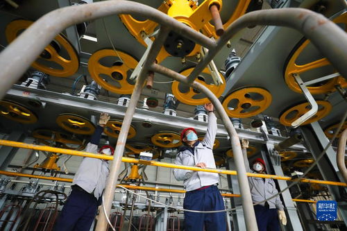 新春生產忙，搶抓開門紅——生態資源監測工作的新篇章