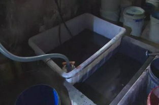 東莞紙制品廠偷排廢水被查封，生態資源監測發出警示